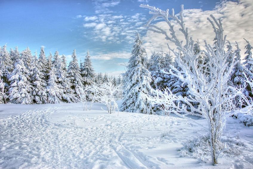 Le Hameau de Valloire S2p - foto 23