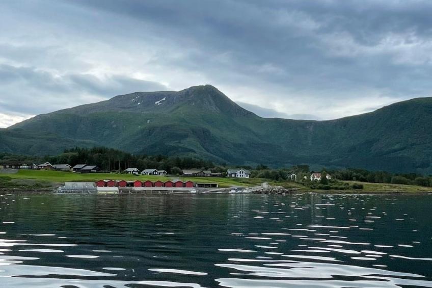 Blockhaus am Fjord - foto 23