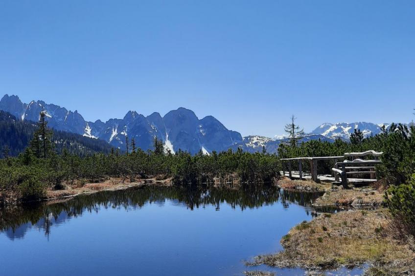 Deluxapartment Simon - foto 52