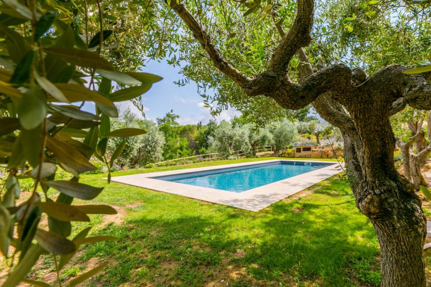 Villa Montisi - foto 50