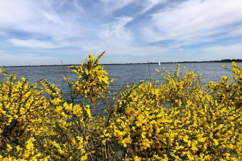 Ferienresort Bad Bentheim 23 - foto 31