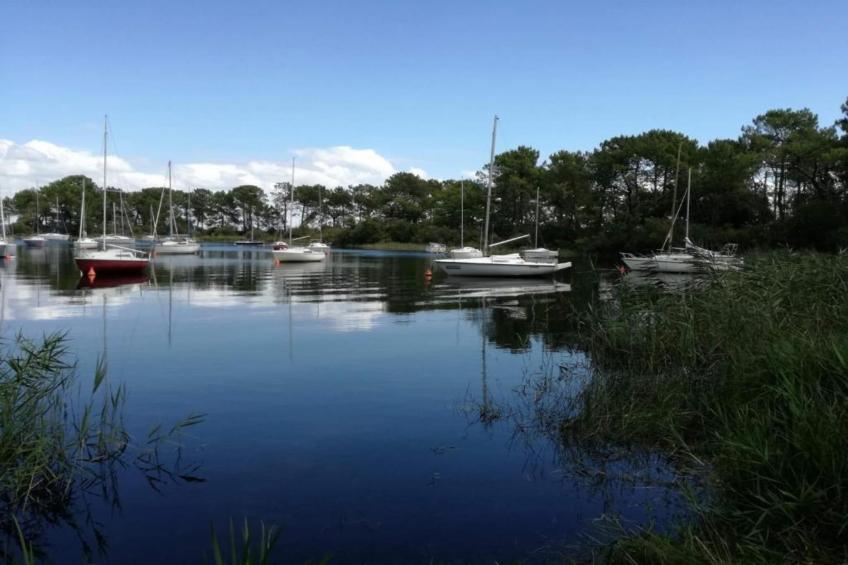 Résidence Le Petit Pont 4 - foto 30