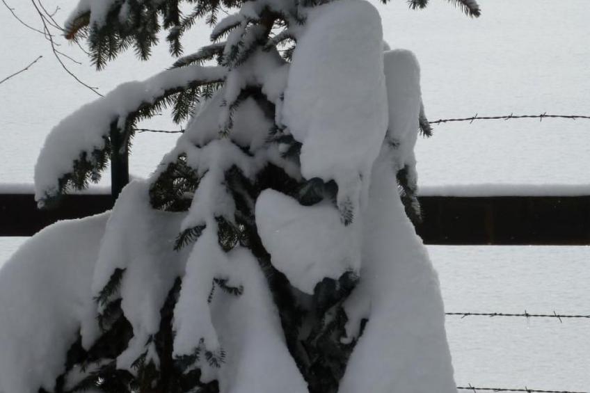 Chalet Désir, Lajoux - foto 36