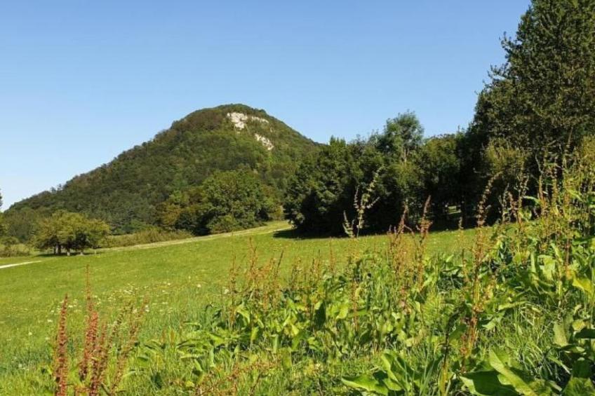 Ferienwohng. Susanne - foto 30