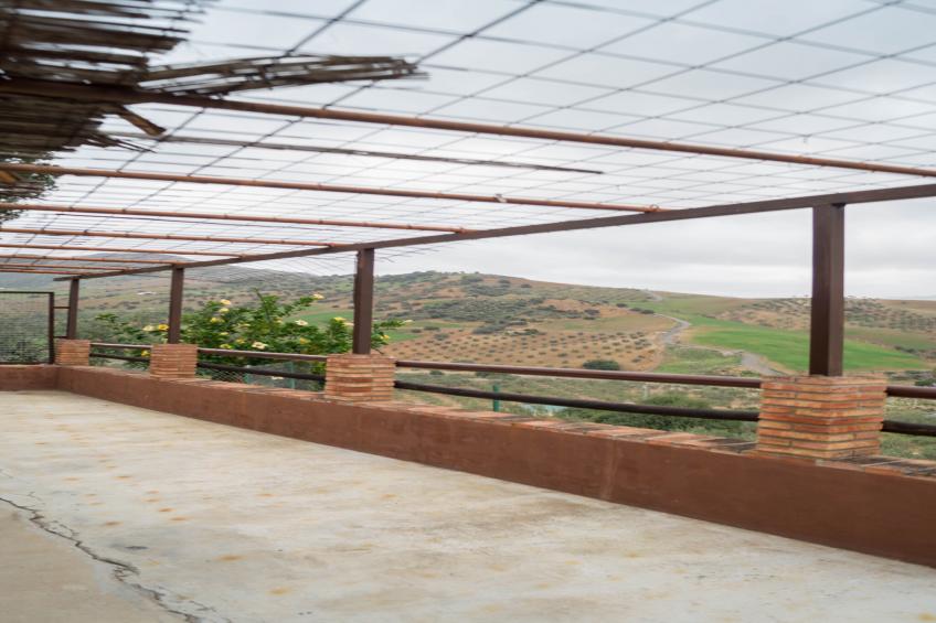 Casa Los Olivos - foto 12