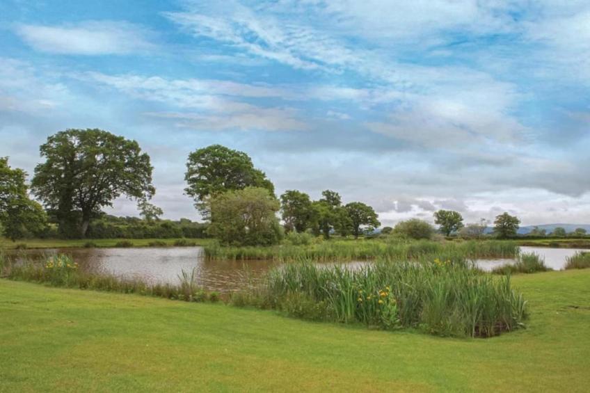 Shrawardine Train Carriage - foto 21