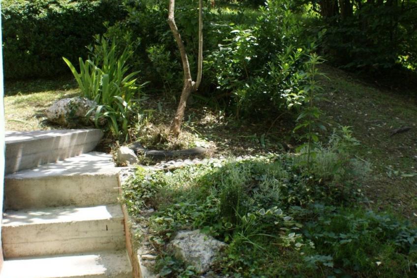 mit Terrasse, Grill und Garten - foto 8