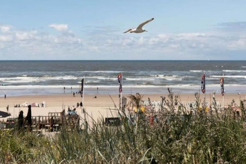 The Beach & Town Suite - foto 41