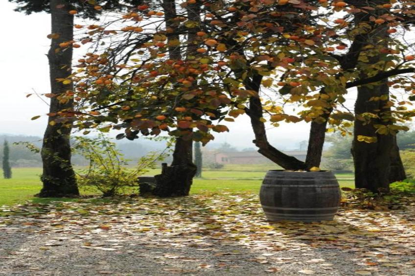 La Principessa - foto 22