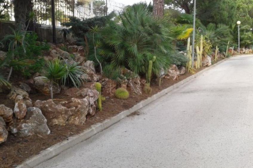 Pine Sun Park - foto 21