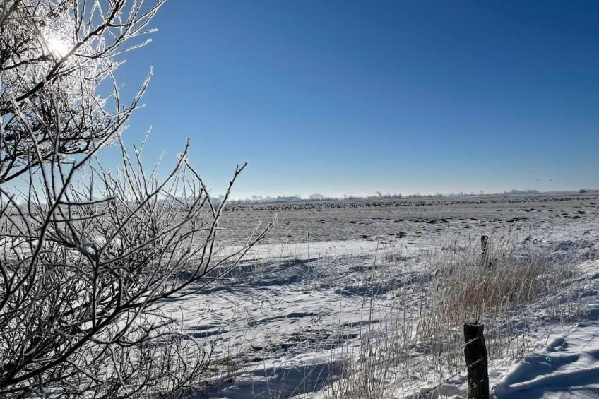 Ruhige Wohnung in Risum mit Garten und Terrasse - foto 44