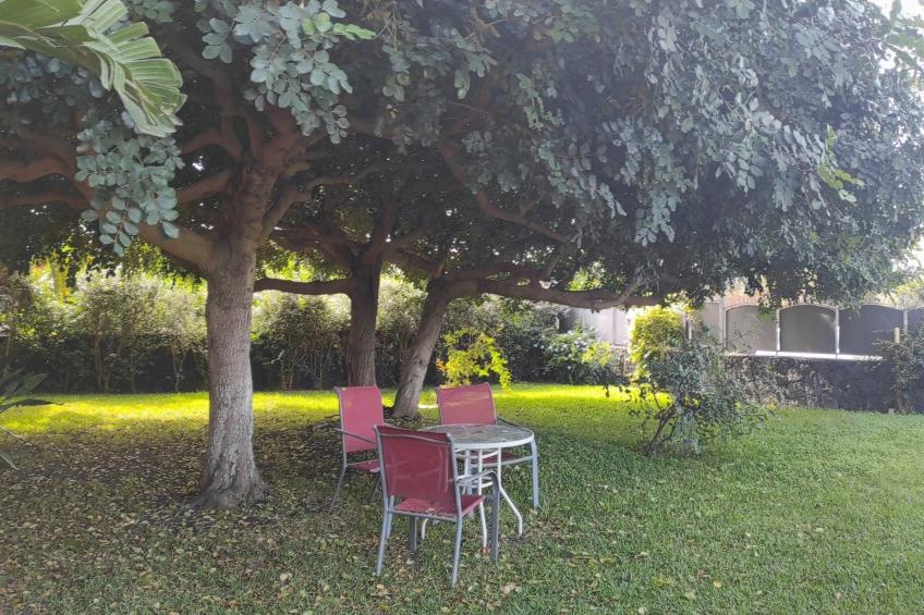 Einzimmerwohnung mit Terrasse - foto 26