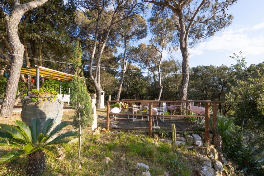 La casetta immersa nel verde - foto 50