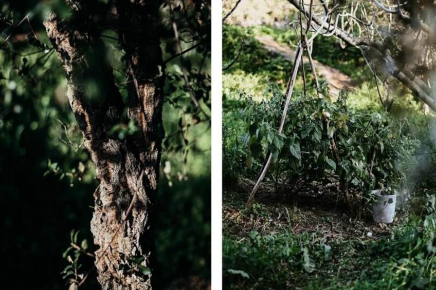 The Lemon Lodge - Ziggurat Suite - foto 30