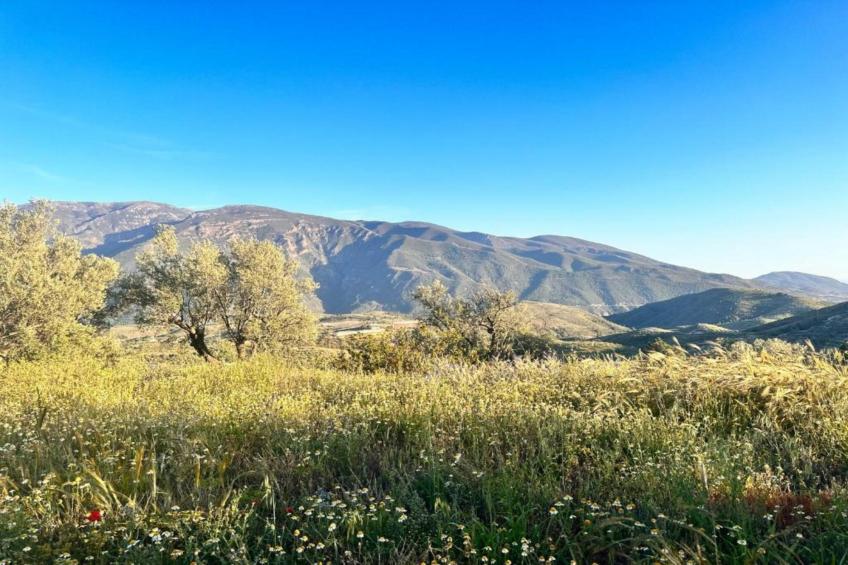 El Ensueno - foto 39