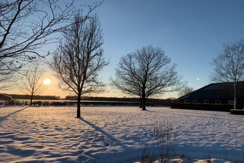 De Tolplas - Twents Buitenverblijf 4 - foto 39