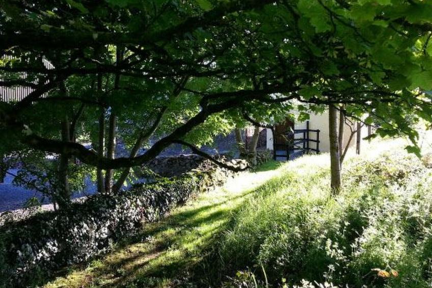 Cottage "James Tymon" mit Terrasse und Garten - foto 15