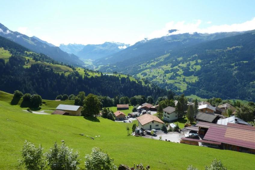 Alte Gonda - foto 17