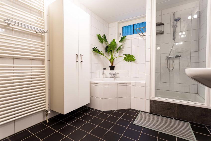 Boshoeve 10 personen Wellness (Spa) - foto 26