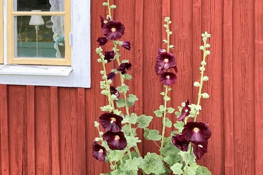 BF-ZGPYX - foto 40