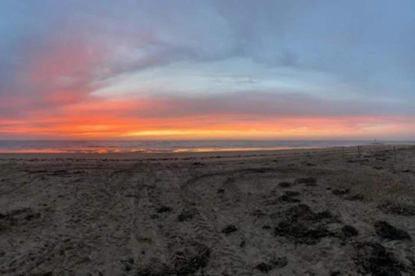 Résidence Prestige le Domaine des Pins - foto 24