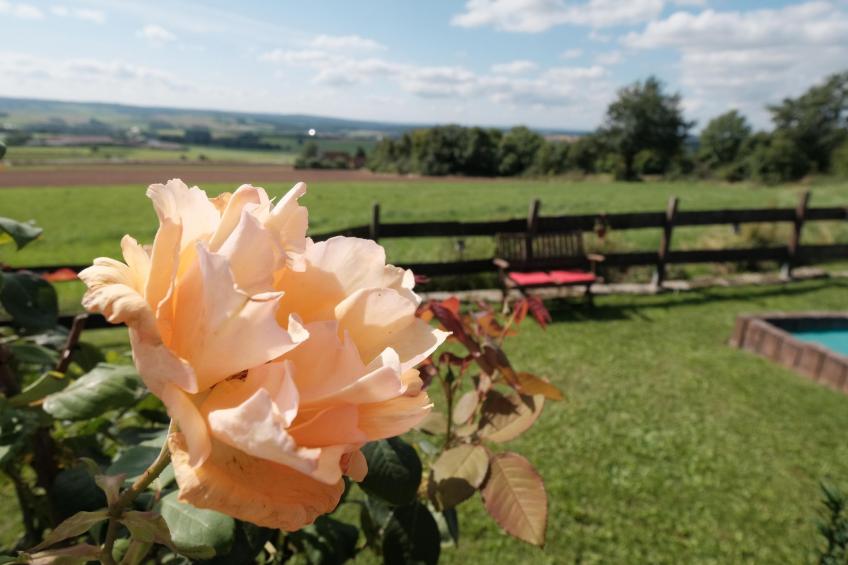 Fewo. Liebelt - foto 36