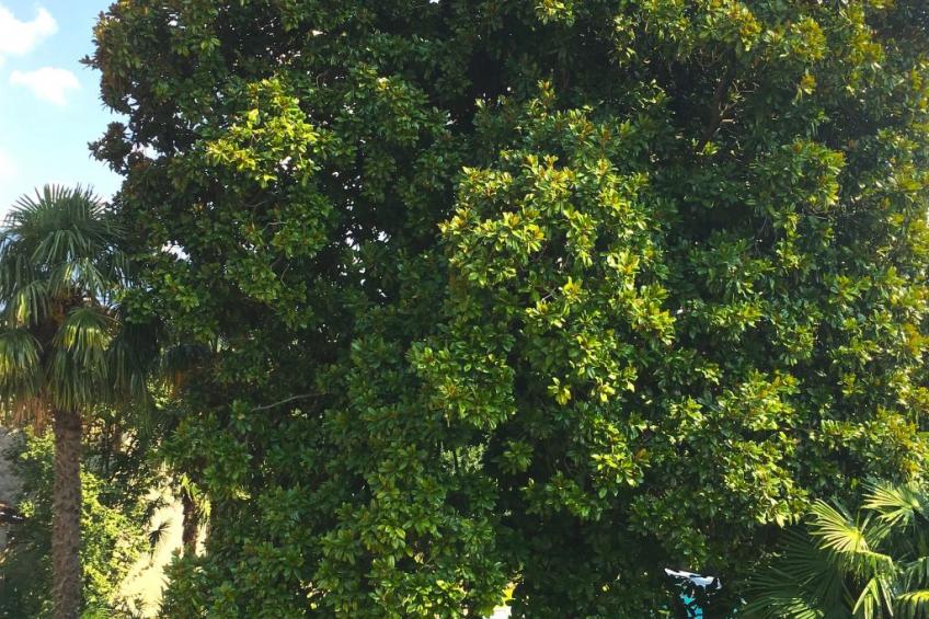 für 15 Personen in Cittiglio - foto 36