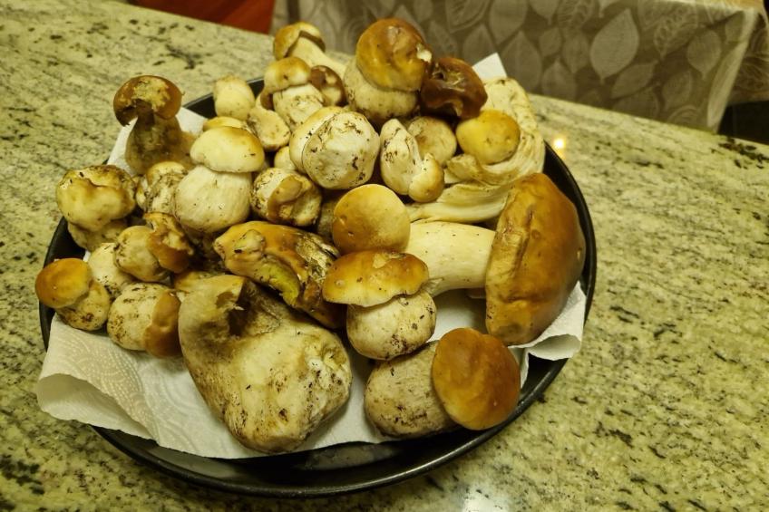 Rustico Sumprai - foto 22