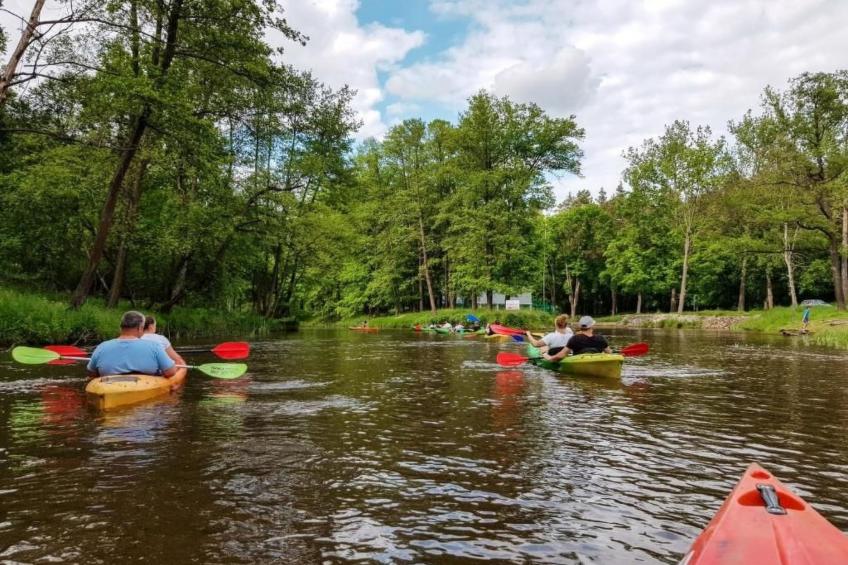 Ganzjährig bewohnbares Ferienhaus - rot - foto 71