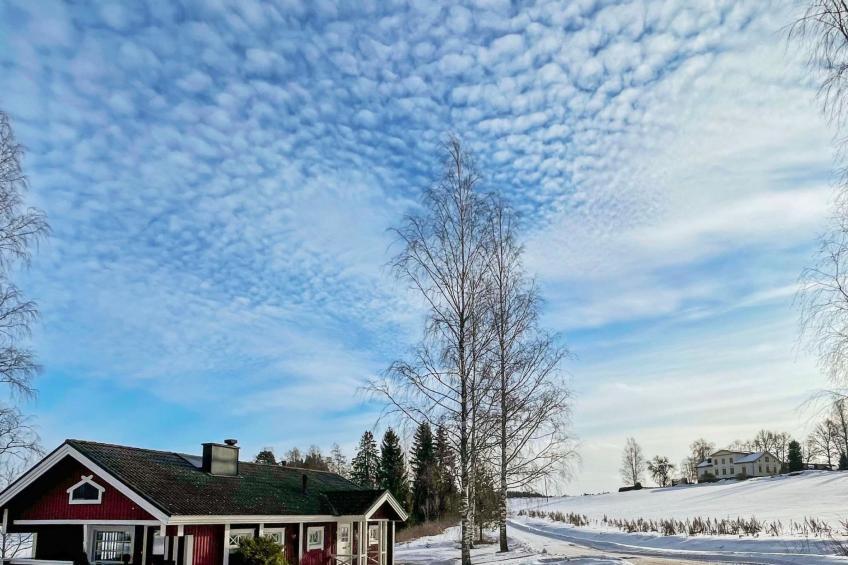 Peltosirkku, seeteri - foto 36