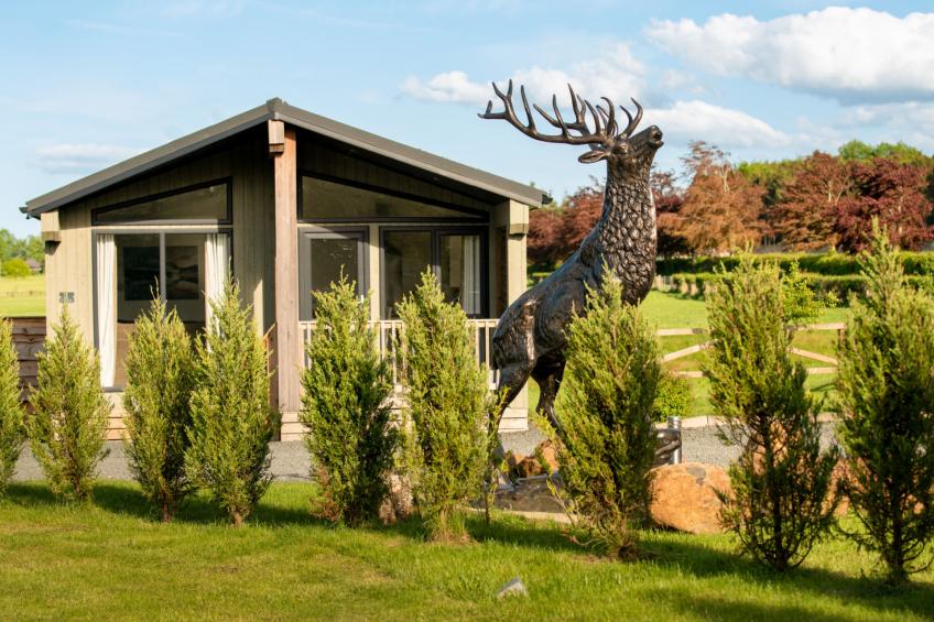 Silverwood Hideaway Lodge - foto 11