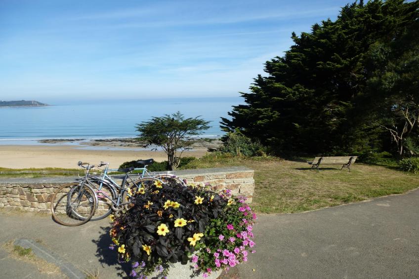 Ferienhaus in Plestin les Grèves - foto 24