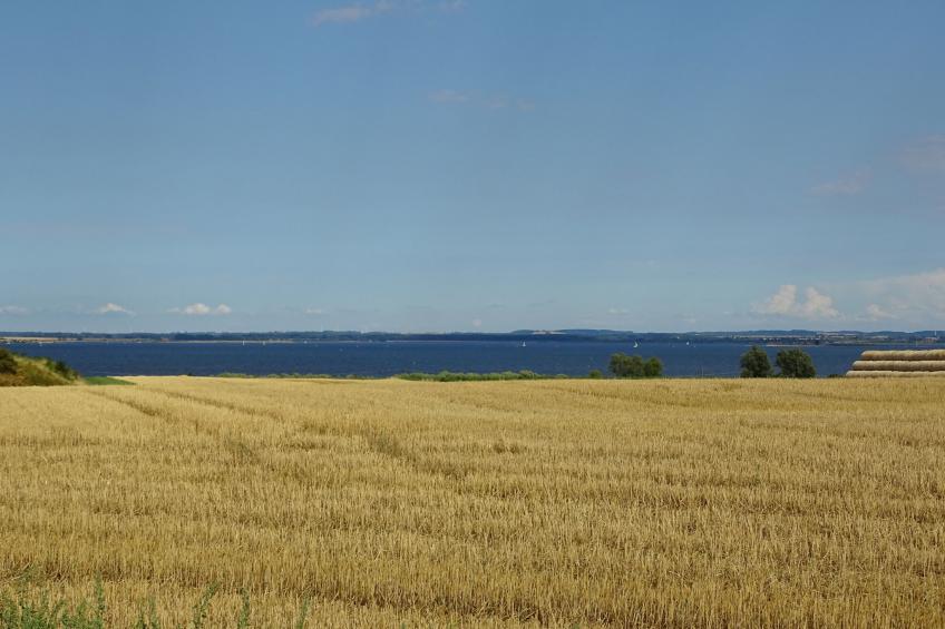 Wohnung in Dreveskirchen mit Kleinem Garten - foto 40