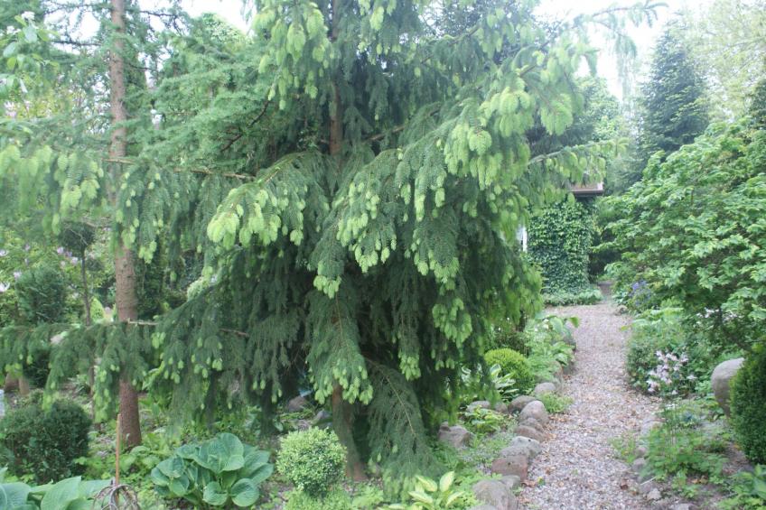 Meeresdorf Stille - Ferienhäuser in den Gärten von Magra - foto 26