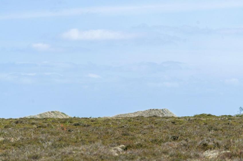 "Hrefna" - 350m from the sea in NE Jutland - foto 36