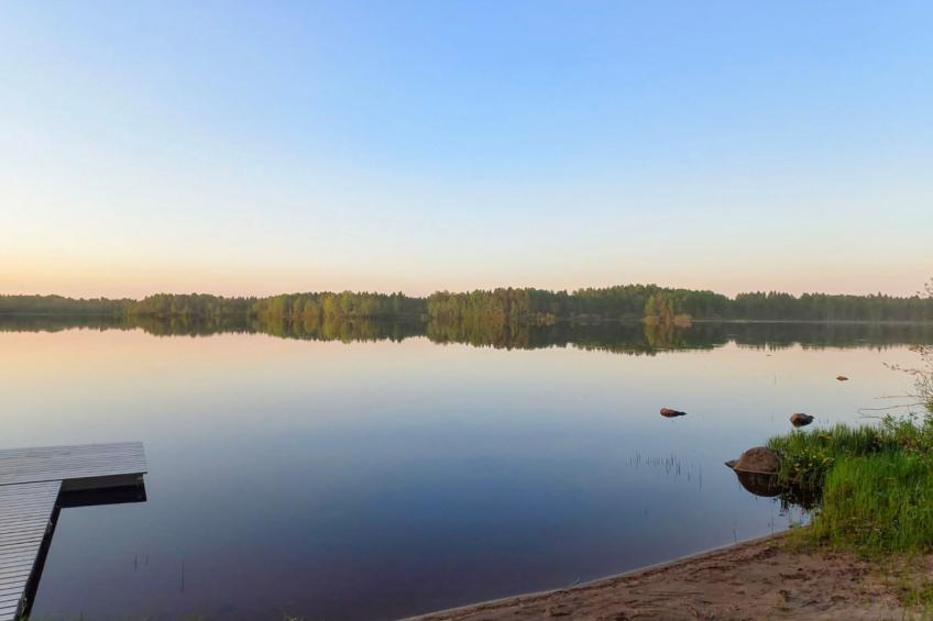 Ranta-koivu - foto 24