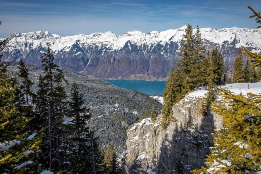 Chalet Specht - foto 23