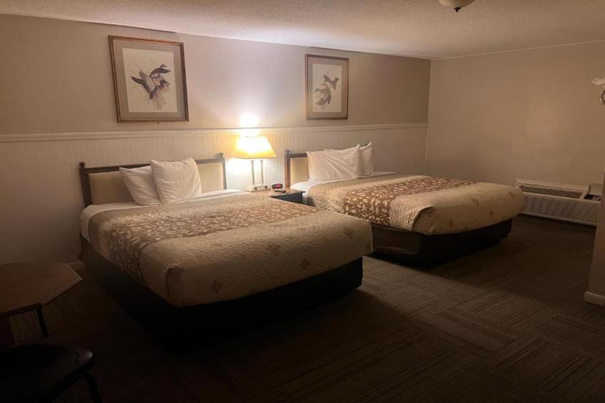 Standard 2 Queen Beds Non-Smoking - foto 12