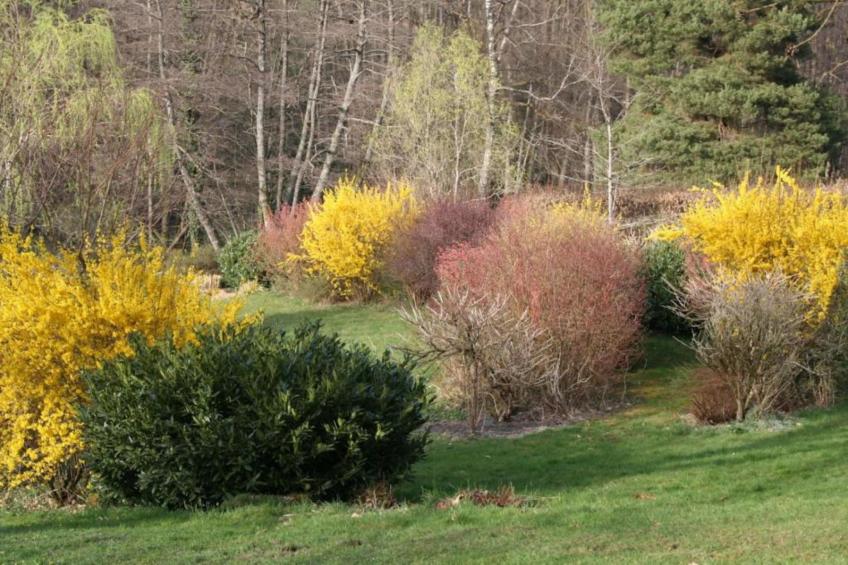 Maison de vacances - LA CHAPELLE-AUX-BOIS - foto 27