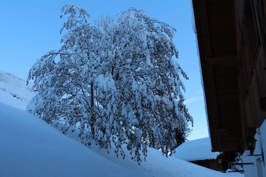 "Ciasa Linda App.3 - foto 29