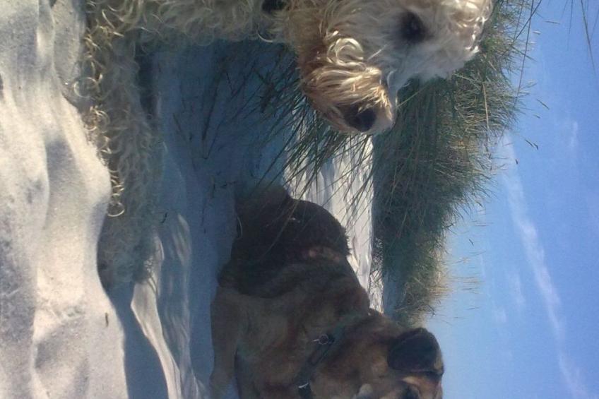 mit Garten, Grill und Terrasse - foto 41