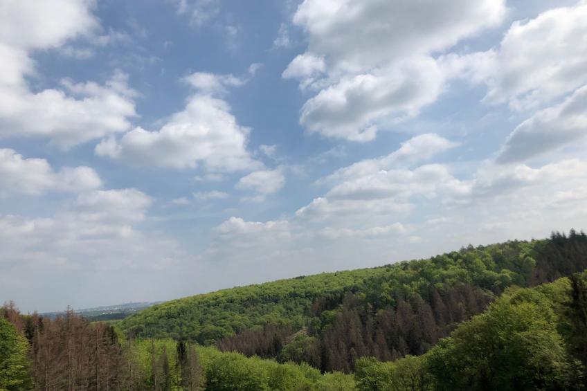 Gartenblick - foto 26