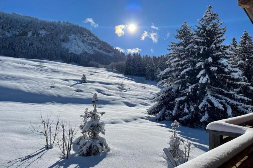 Les Portes de Megève 6 - foto 28