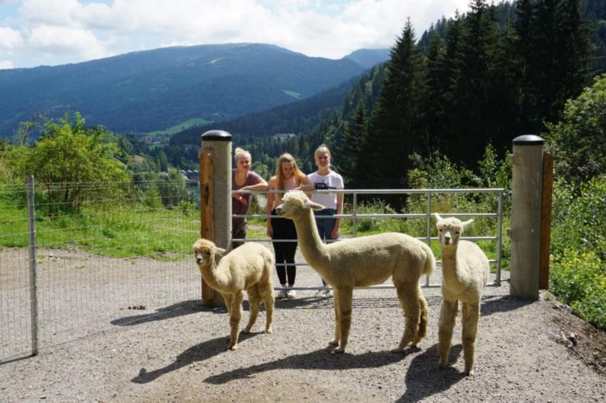 Vitalhof am Kreischberg 3 - foto 16