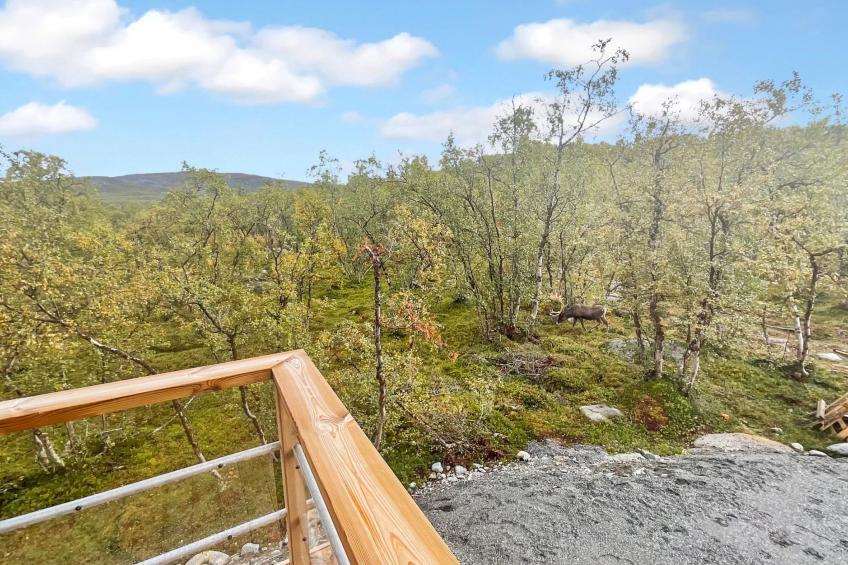 Saana aurora - foto 21