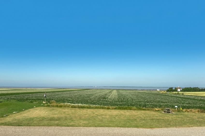 "Ejna" in Western Jutland - foto 35