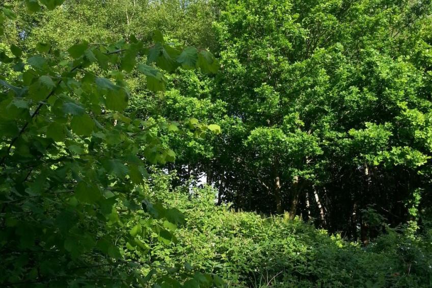 Wohnstudio für maximal vier Personen - foto 22