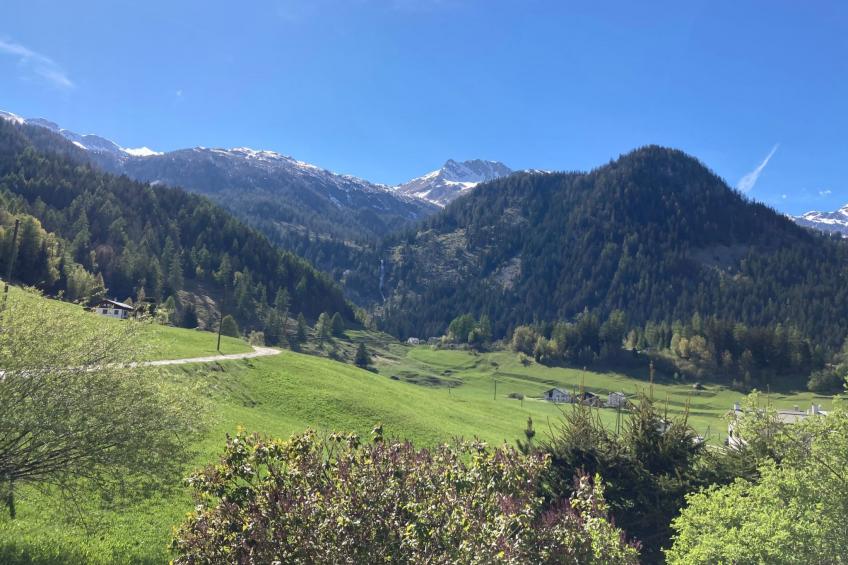 Casa Selva - foto 20