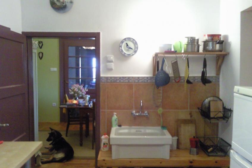 mit biologischem Schwimmteich - foto 8