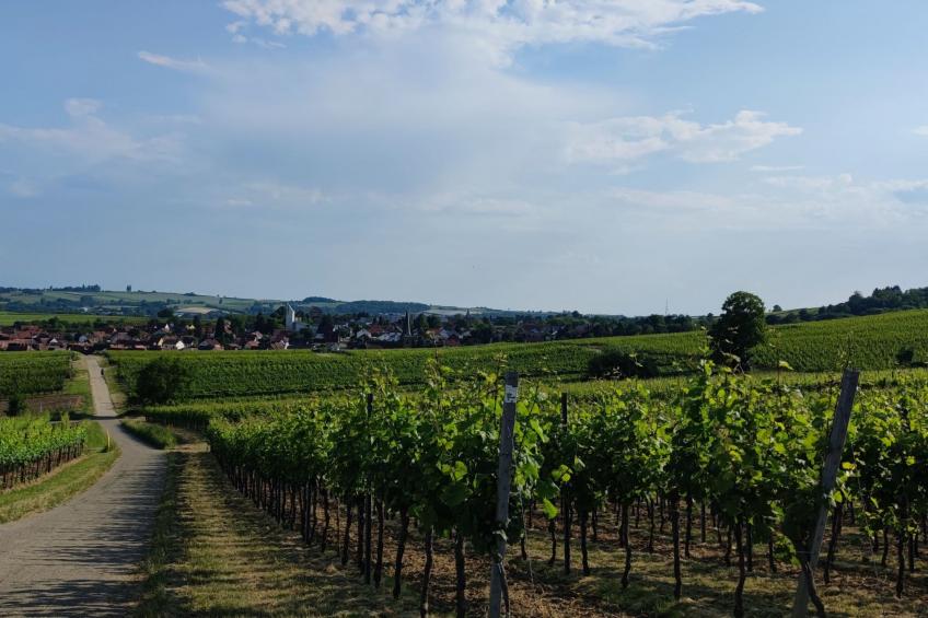 Le Château d'Eau - foto 31